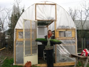 Brianna van de Wijngaard grows veggies in small gardens for profit. 