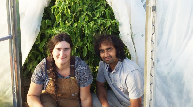 Meet Adithya Ramachandran, Who Turned His “Gardening Addiction” into a Backyard Garden Business