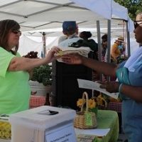 Meet September’s Garden Hero – Elisa Bedsworth: Growing a Market for Backyard Farmers in Kansas City MO